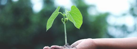 selbsterfrahrung selbstfindung lebendigkeit