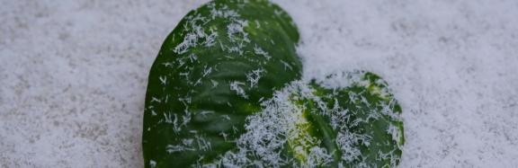 selbstverwirklichung herzensweg